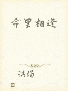 命里相逢