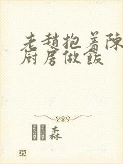 老赵抱着陈婷在厨房做饭