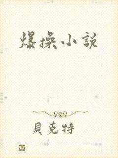 爆操小说