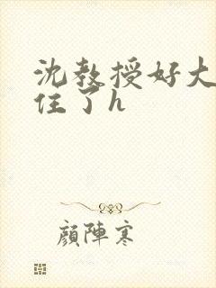 沈教授好大含不住了h