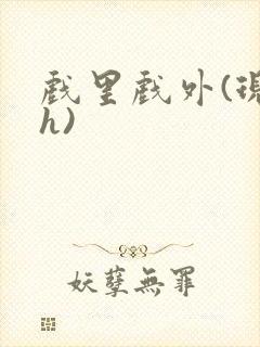 戏里戏外(现场h)