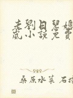 老刘日儿媳妇张岚小说免费阅读