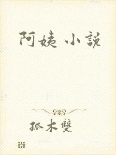 阿姨 小说