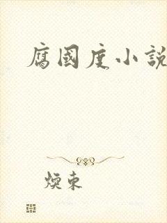 腐国度小说