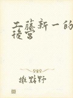 工藤新一的日本后宫