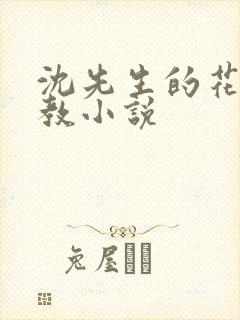 沈先生的花式调教小说