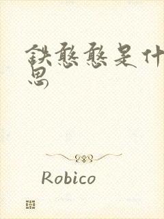 铁憨憨是什么意思