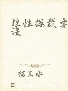 狼性总裁要够了没