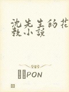 沈先生的花式管教小说