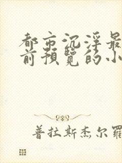 都市沉浮最快超前预览的小说3030