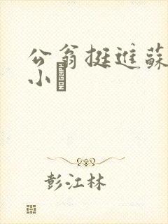 公翁挺进苏玥的小泬