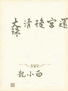 大清后宫还君明珠