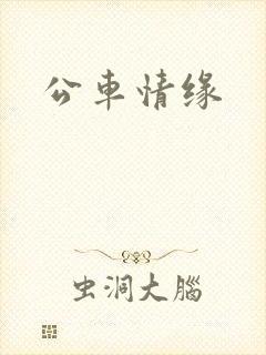 公车情缘
