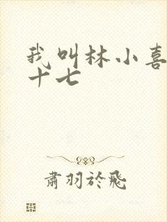 我叫林小喜今年十七
