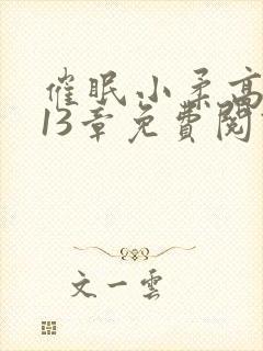 催眠小柔高达第13章免费阅读