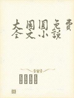 大团圆免费阅读全文小说