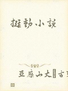 挺动小说