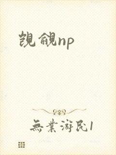 觊觎np