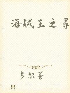 海贼王之寻亲记