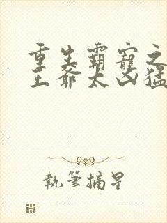 重生霸宠之摄政王爷太凶猛