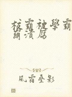 校霸被学霸玩到崩溃腐