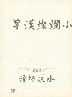星汉灿烂小说