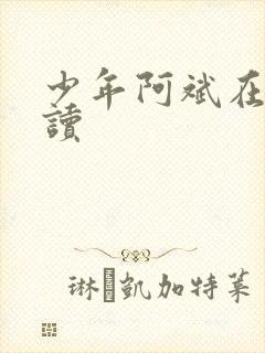 少年阿斌在线阅读