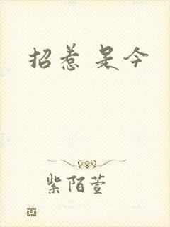 招惹 是今