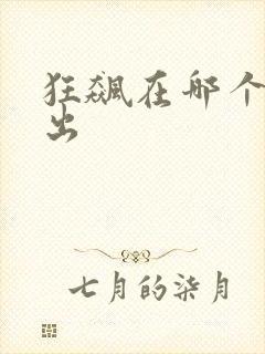 狂飙在哪个台播出