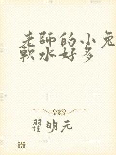 老师的小兔子好软水好多