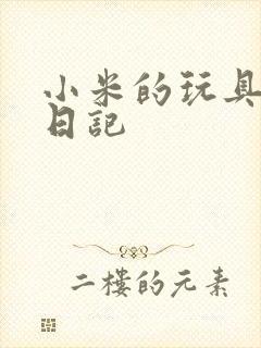 小米的玩具羞辱日记