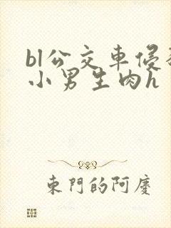 bl公交车侵犯小男生肉h