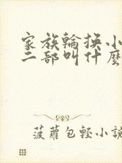 家族轮换小说第二部叫什么名字