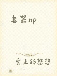 名器np