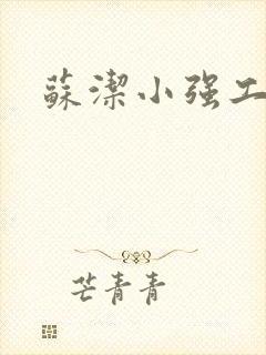 苏洁小强工地情