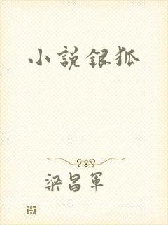 小说银狐