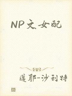 NP文女配