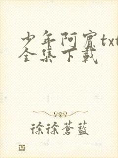 少年阿宾txt全集下载