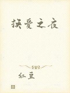 换爱之夜封面