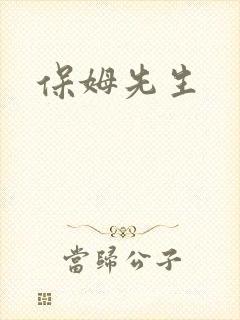 保姆先生