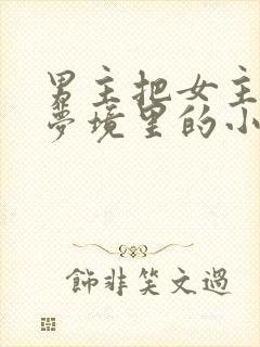 男主把女主拖进梦境里的小说