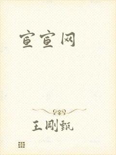 宣宣网