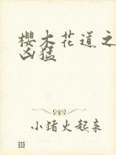 樱木花道之重生凶猛