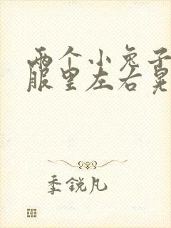 两个小兔子在衣服里左右晃