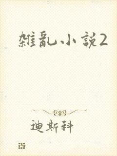杂乱小说2