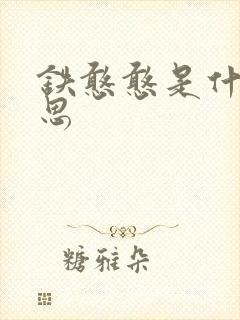 铁憨憨是什么意思