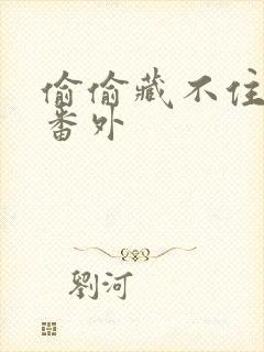 偷偷藏不住新婚番外