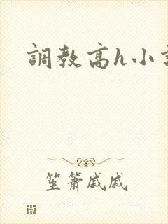 调教高h小说