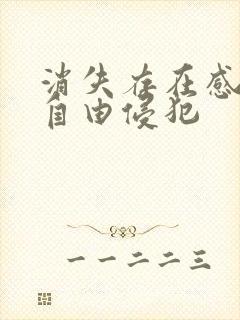 消失存在感消失自由侵犯