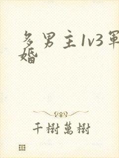多男主1v3军婚